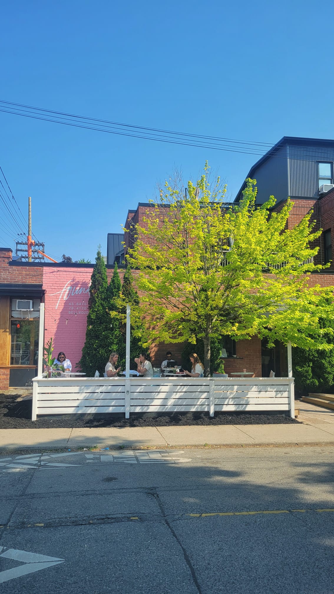 Found Coffee Trinity Bellwoods | Exterior shot of pink brick with green tree overhanging on a bright morning | Homes Almanac