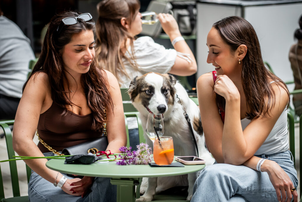 Civil Parks | Two women setting at a green table with their dog and drinks | Homes Almanac