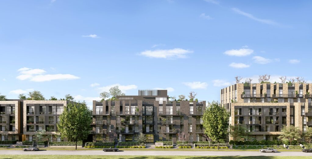 Ashleigh by Peterson