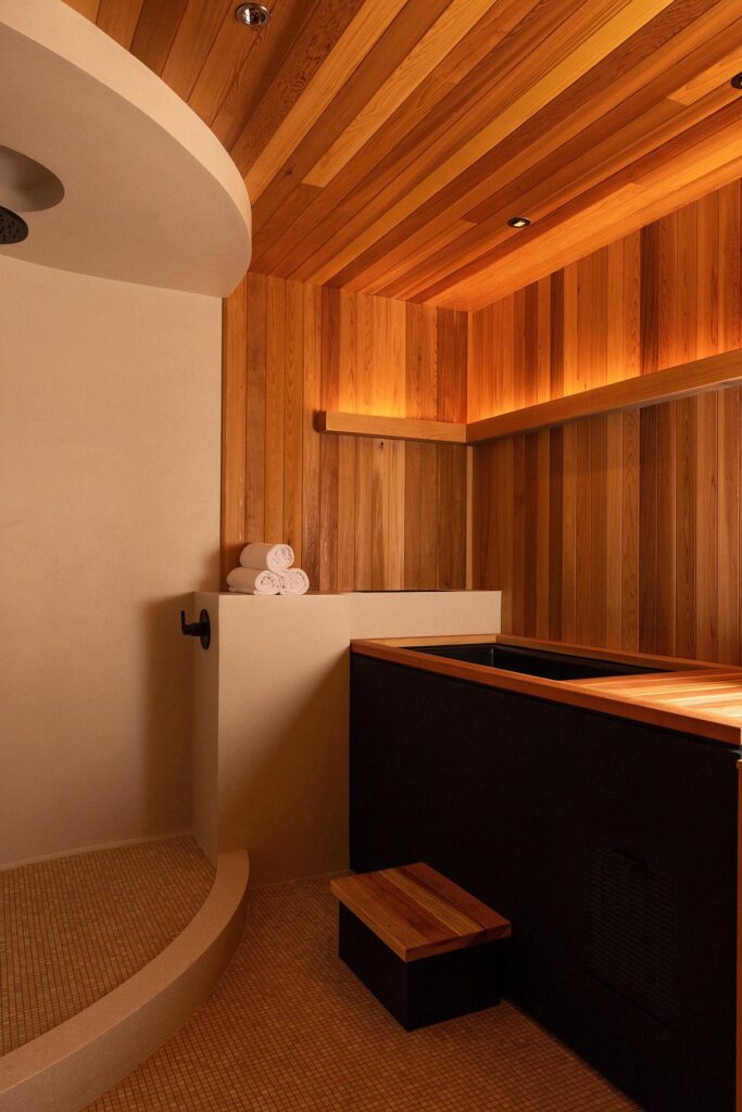 trove wellbeing | a black cold plunge tub with oak wood paneling on the walls and a cream white shower to the left | homes almanac