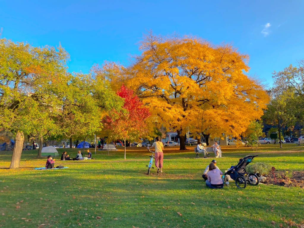 Trinity Bellwoods Park | A sunny fall day with orange red and green trees and people lounging on the grass | Homes Almanac