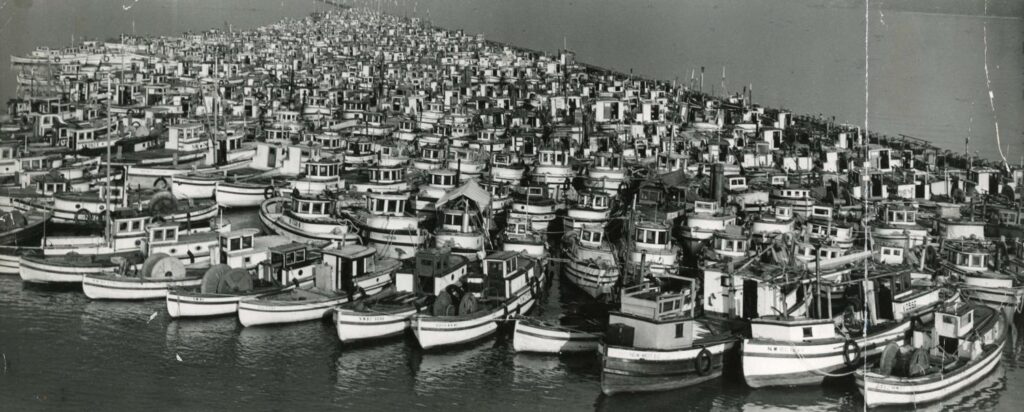 Steveston Japanese Canadian history | Confiscated Japanese fishing boats tied up at Annacis Island in Delta  | Homes Almanac