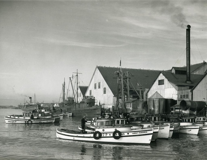 Steveston Japanese Canadian history | Fishing boats in front of the cannery in black and white, pre-war | Homes Almanac