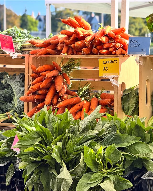 Toronto Farmers Markets | Brightly colour carrots and greens | Homes Almanac