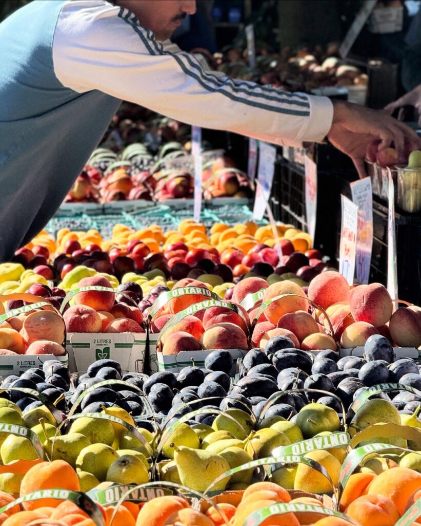 Toronto Farmers Markets | Table of bright fruits and a man leaning over | Homes Almanac